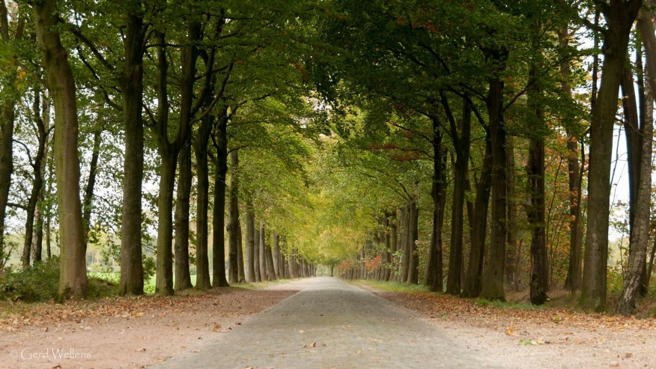 B&B De Grote Kievit Geel Luaran gambar